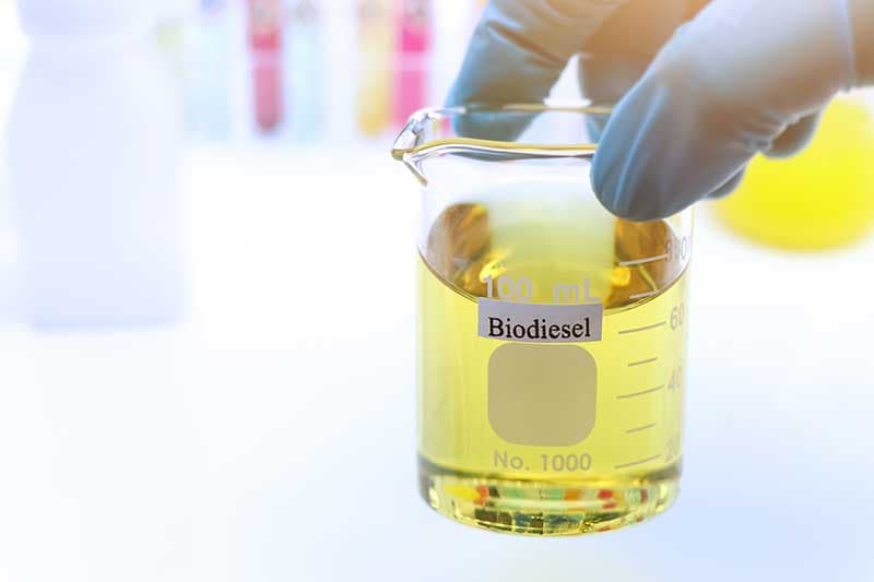 BIO Diesel